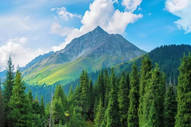 2026 年塑料软包装行业的核心